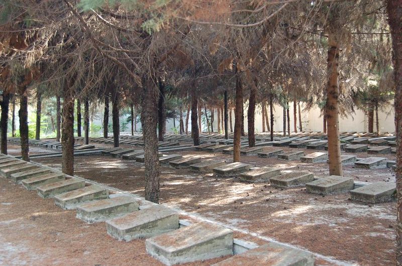 Source - http://commons.wikimedia.org/wiki/File:Anzali_cementery3_Barry_Kent.jpg